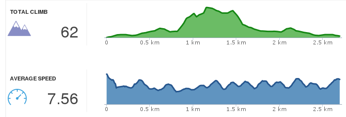 RunKeeper chart: elevation and speed, July 31, 2013