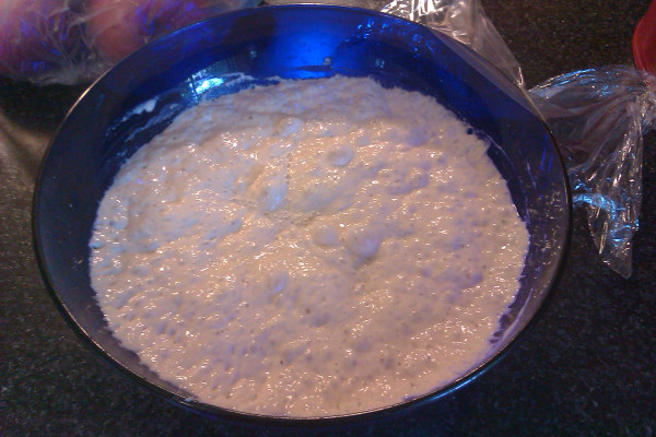 The poolish after 12 hours of fermenting