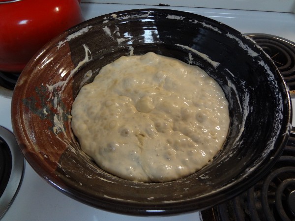 After fermenting overnight, the poolish should look wet and bubbly