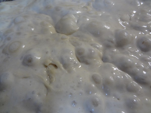 Closeup of fermented poolish