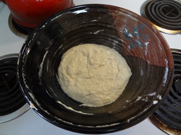 Combine flour, warm water and yeast to make a poolish