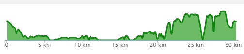 Chart: Around the Bay 2018 Elevation Changes (Image Source: Runkeeper)