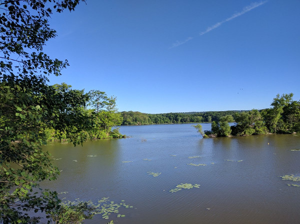 Cottage country, three hours north on the highway? Nope, it's Cootes Paradise in Hamilton