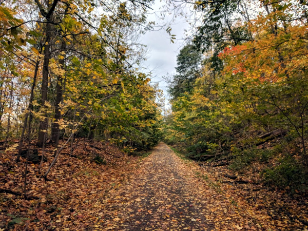 Running on the Escarpment Rail Trail