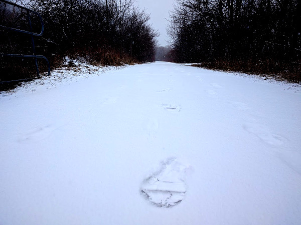 Footsteps in the snow