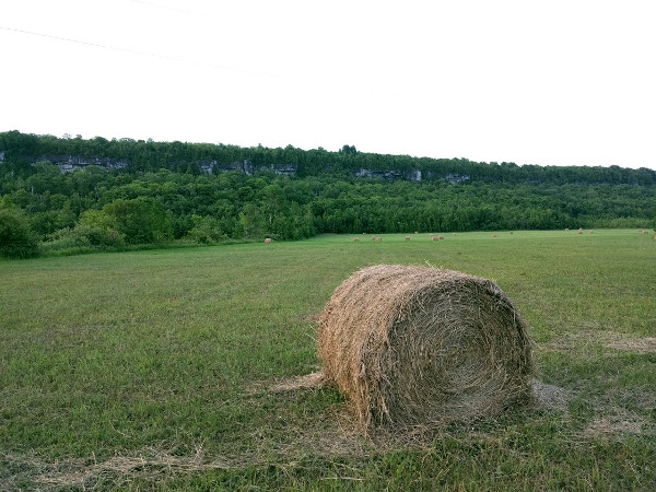 Niagara Escarpment south of Colpoy's Bay