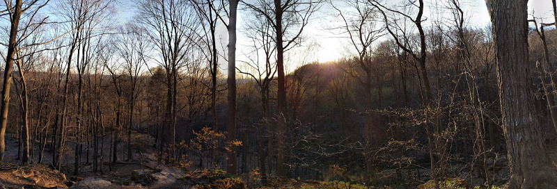 Bruce Trail between Filman Road and Wilson Street