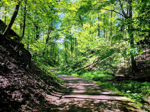 Running on the Ravine Road Trail