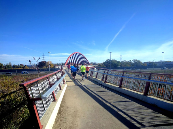 Pedestrian bridge over QEW