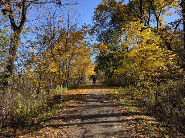 Recovery walk on Escarpment Trail